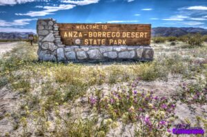 Borrego Springs