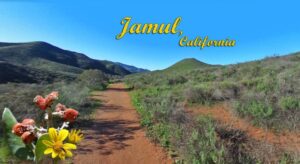 Jamul