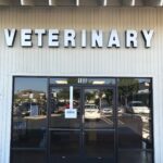 Veterinary Channel Letters