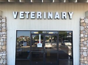 Veterinary Channel Letters